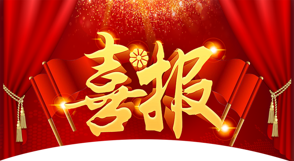 喜报！合肥华安脑科医院荣获市病案质量团体三等奖